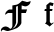 Preview of letter F in font Cloister Black
