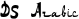 DS Arabic