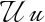 Preview of letter U in font Italianno