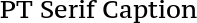 PT Serif Caption